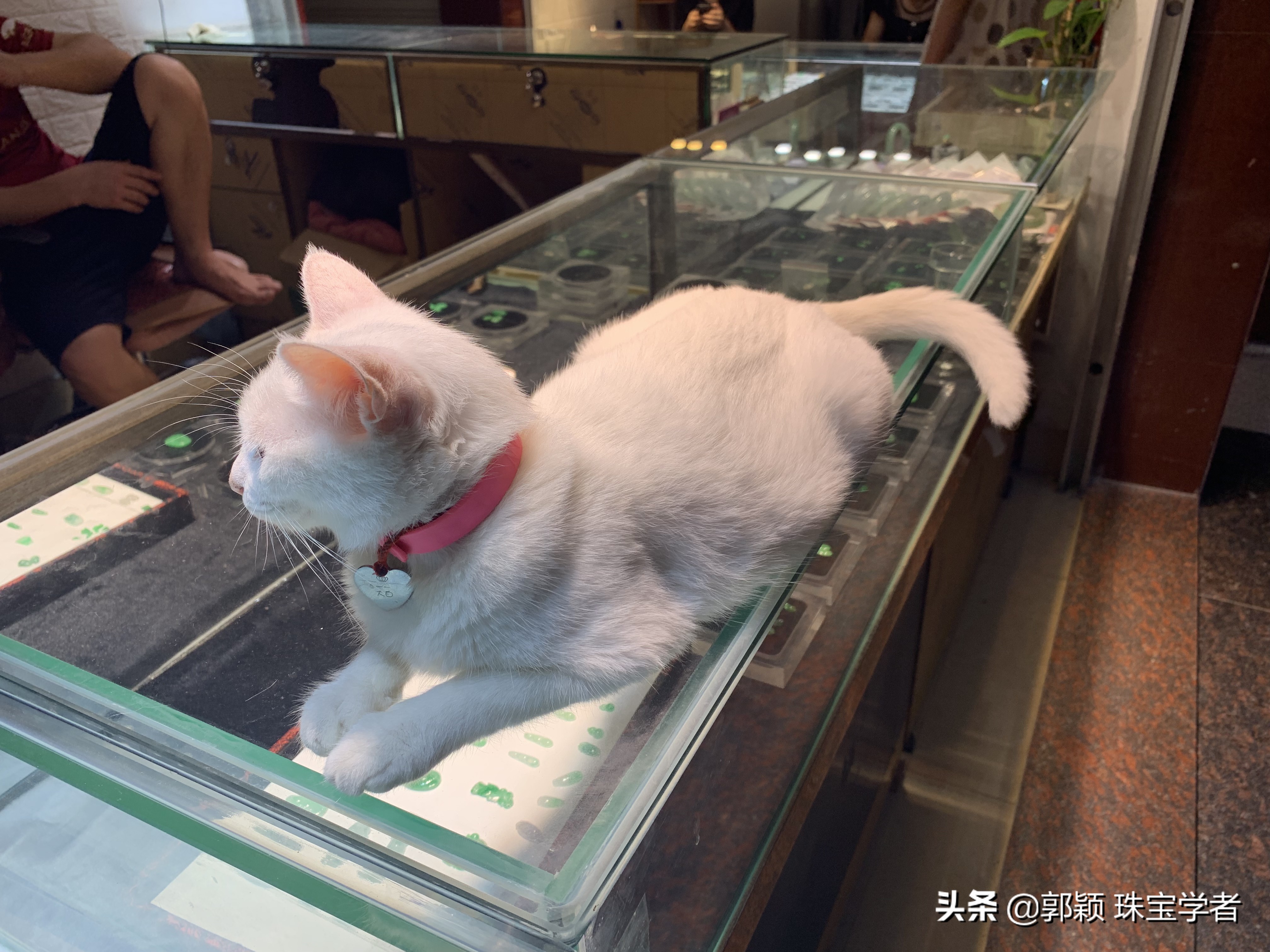 揭阳翡翠价格一览表,揭阳翡翠的特点