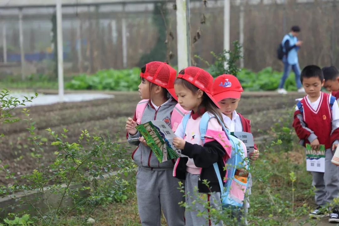 成都市盐道街外国语学校招聘,嘉祥外国语成华校区招聘