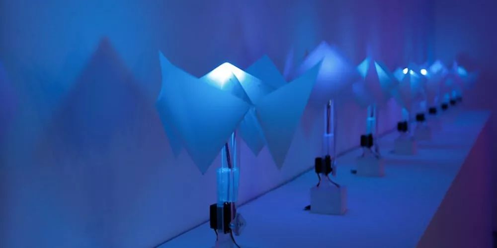 这个时代不是拼命就有用的,这个时代并不是努力就一定能赚钱