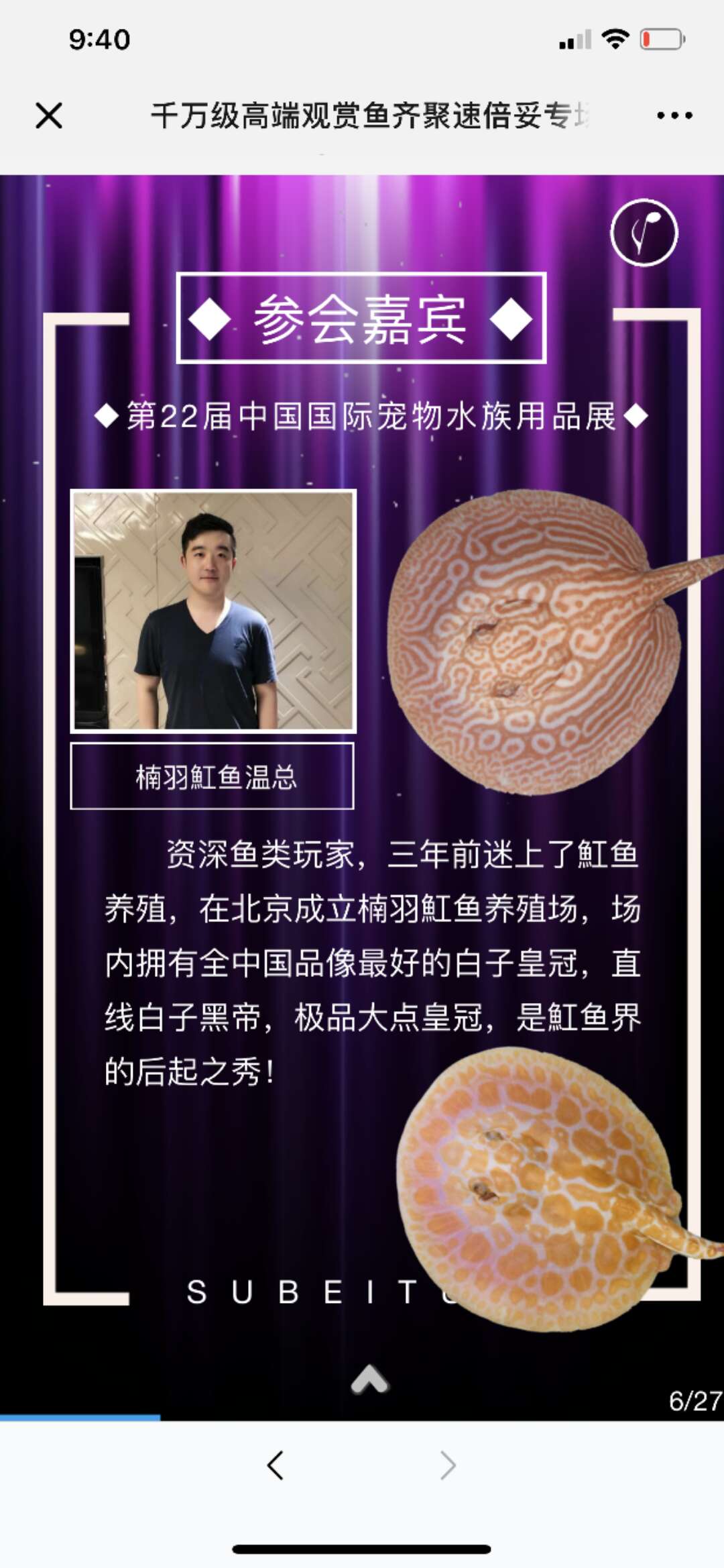 楠羽养鱼经全集,楠羽魟鱼