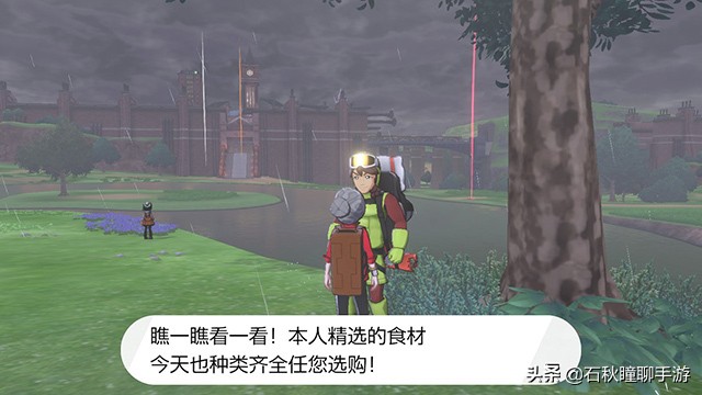 宝可梦剑盾第二周目攻略,宝可梦剑盾通关攻略流程