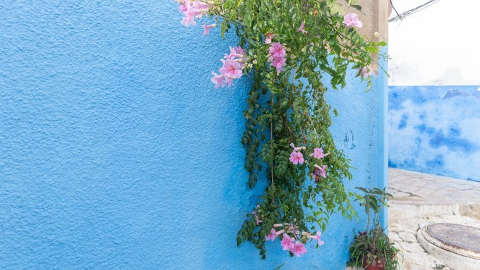 艾西拉旅游,浪漫的法国之旅旅游攻略