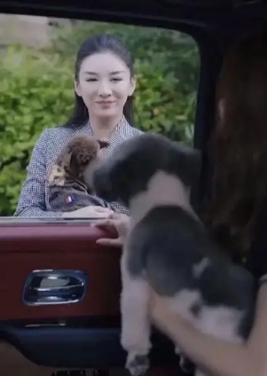 超女冠军安又琪嗨唱转起来完整版,超女安又琪冠军乘风破浪失误视频