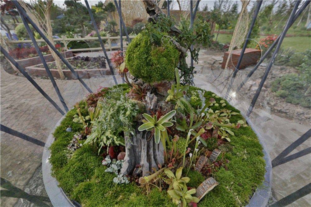 上海国际花卉展奉贤,上海国际花展预约