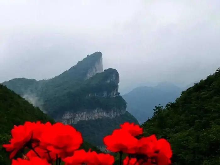 老段和老殷,老段和金段