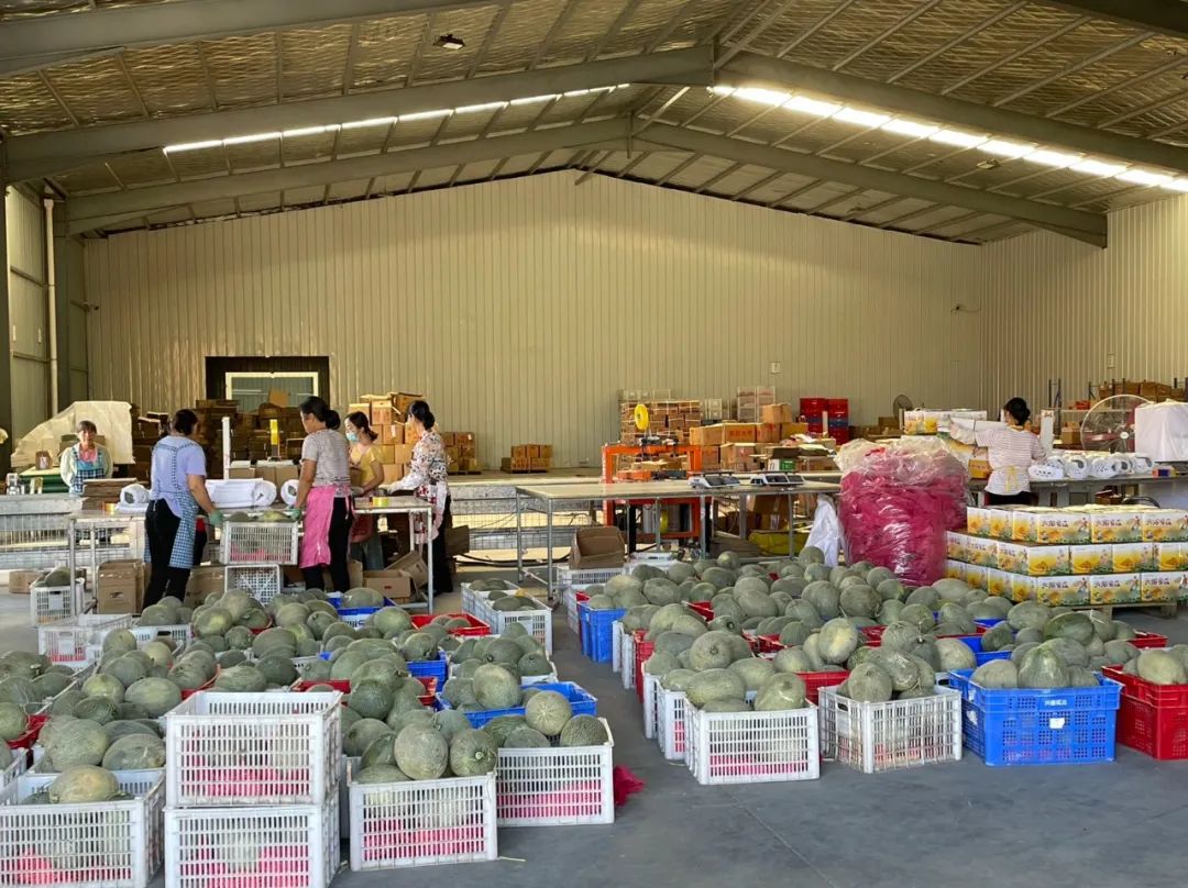 新疆农产品电商推介,新疆特色农产品杭州新电商启动