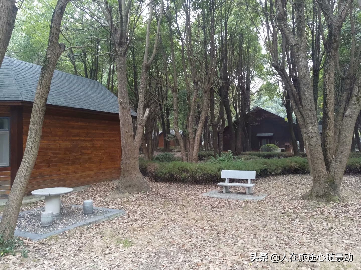 南京江宁乡村旅游攻略,南京江宁最美乡村一日游