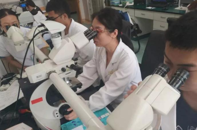 专科医学生毕业后的出路在哪,医学专科的毕业生就业前景