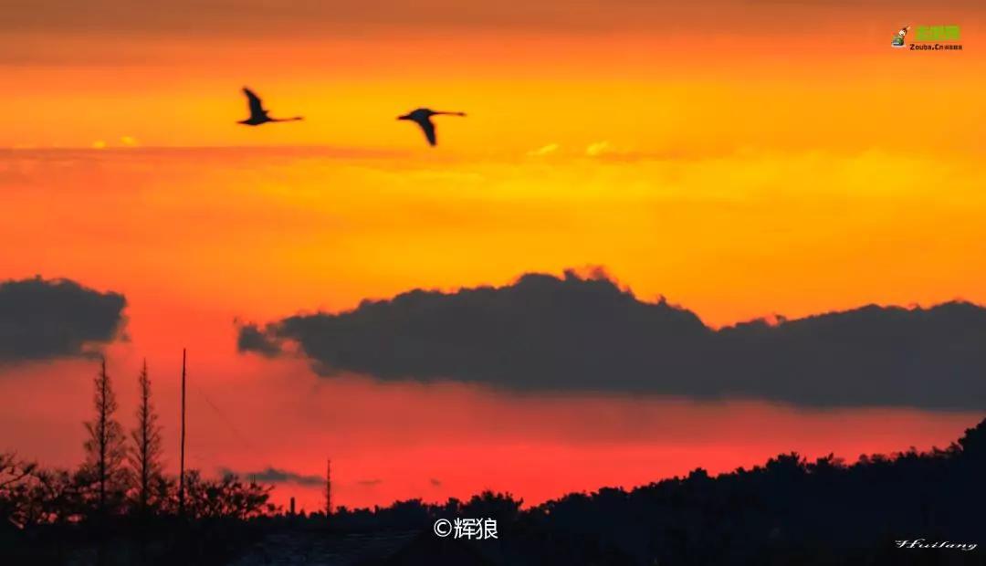 过年了爱车也要干干净净,过年了你的爱车洗干净了吗