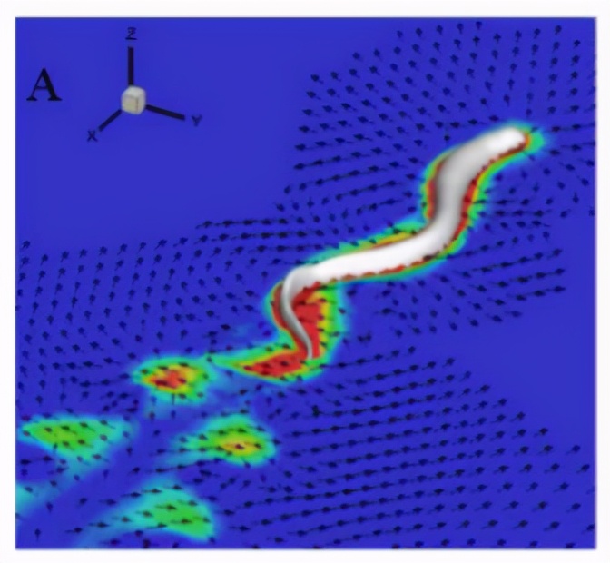 鱼为什么会游泳动画片,鱼为什么会游泳解说