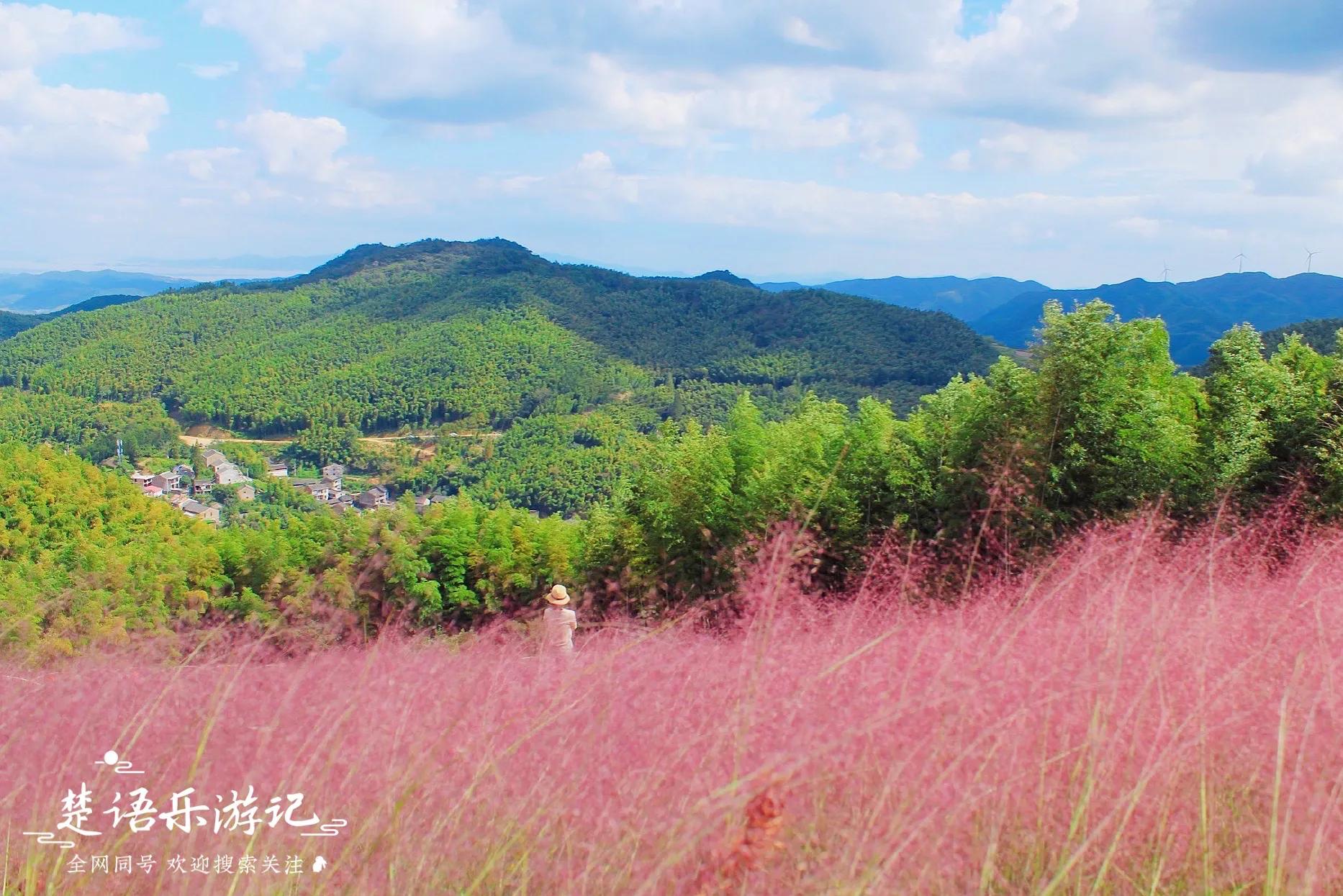 宁波四明山最美古村,宁波又一古镇走红景色不输姑苏