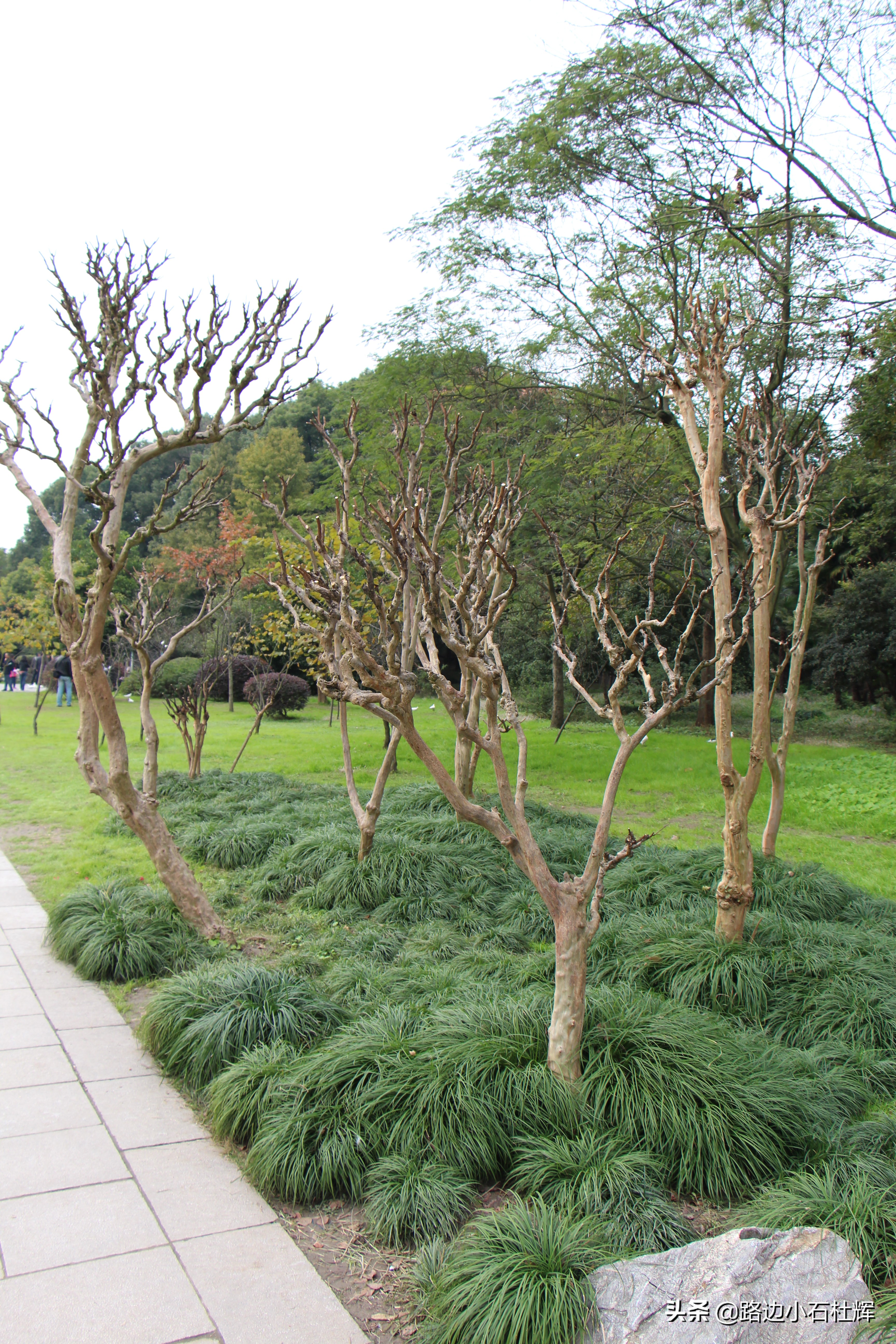 扬州瘦西湖之行,扬州瘦西湖游一圈