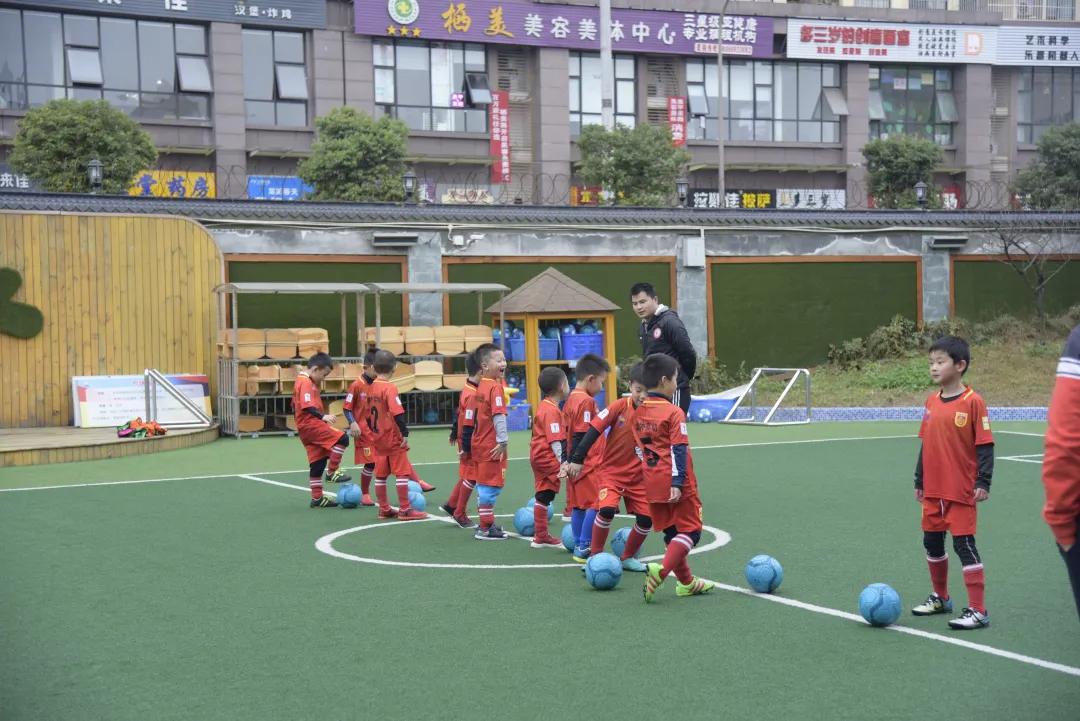 喜报幼儿园被评为省级一类园,获省优质幼儿园喜报