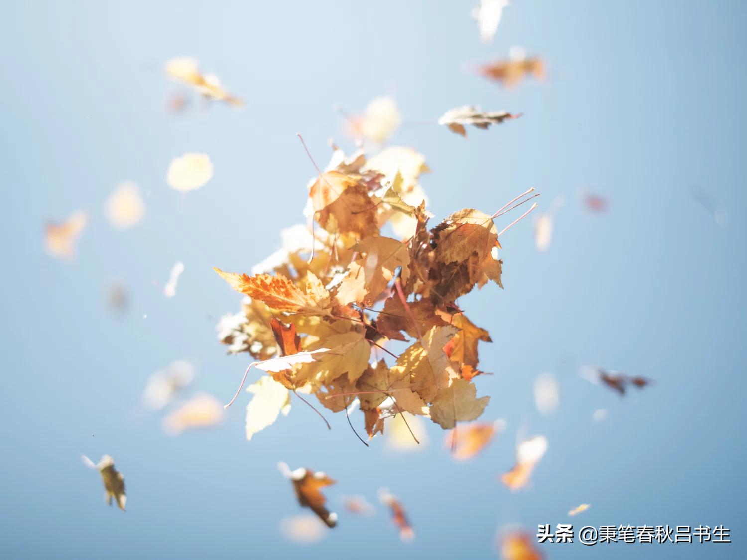 三国时期他坚守故乡，擅长操办丧事，且因为与陈*交群**好仕途顺畅