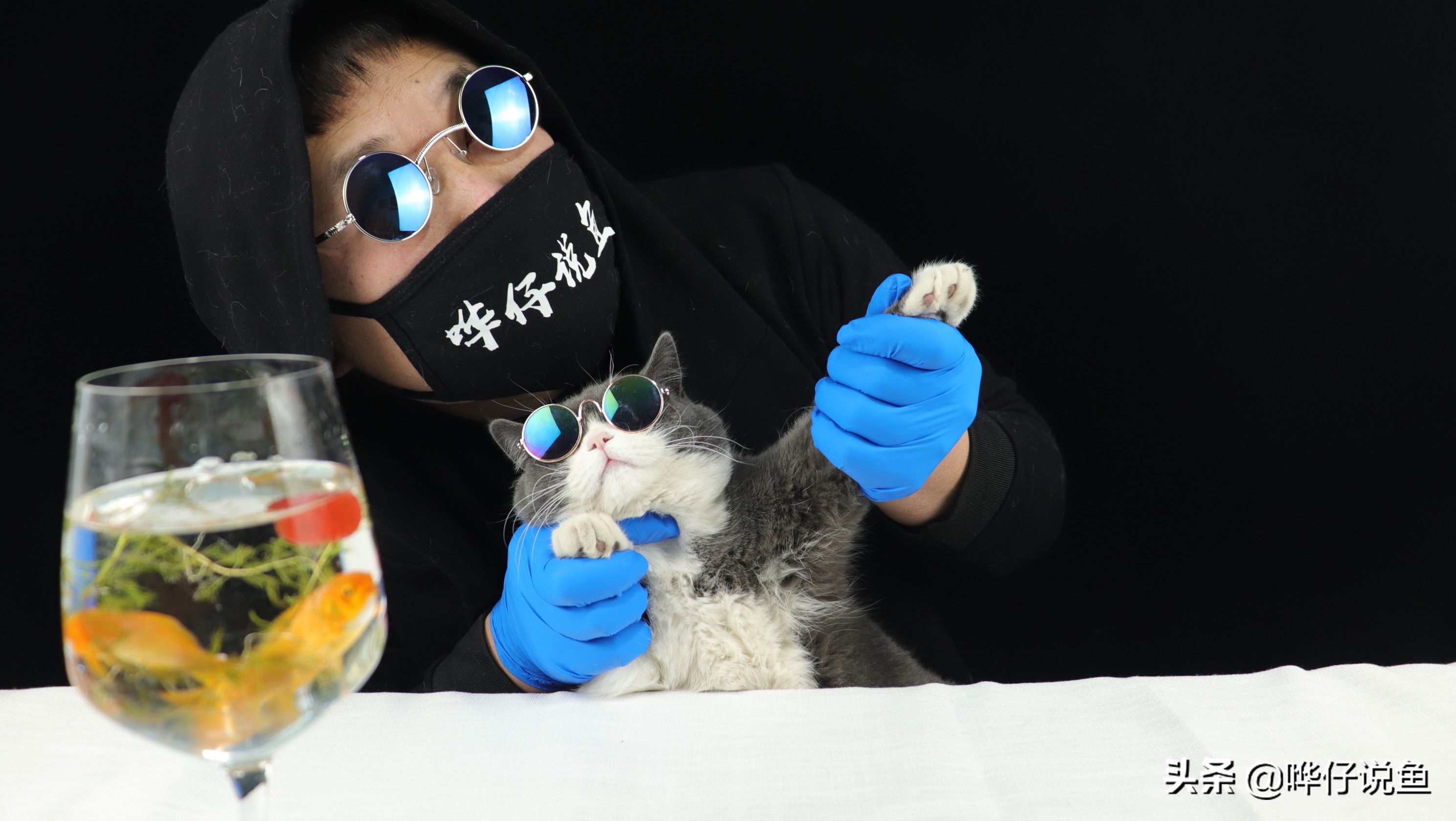 鱼缸混养小型鱼最佳搭配,观赏鱼怎么混养达到生态缸