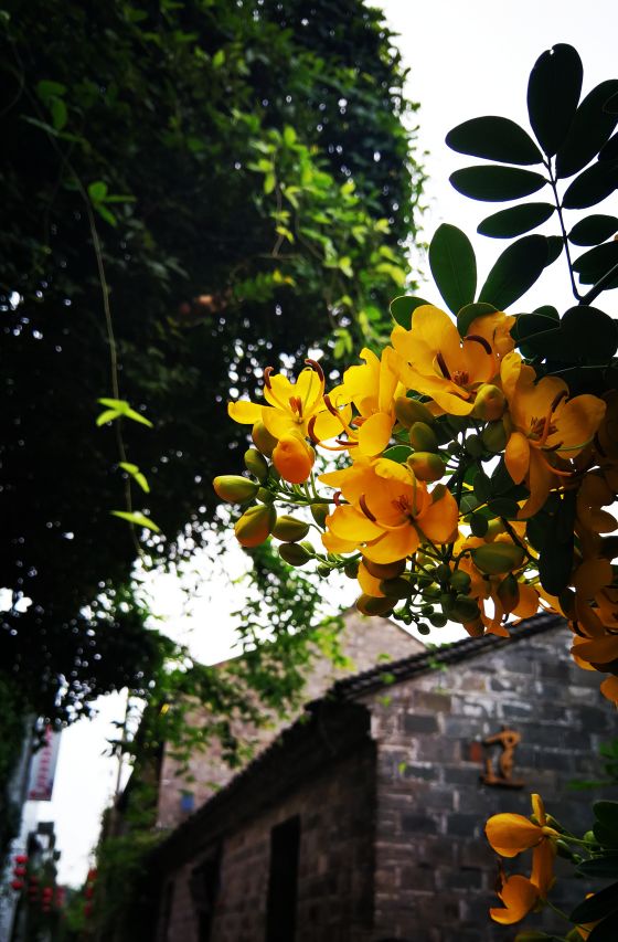 夫子庙和老门东靠得近吗,夫子庙与老门东之间距离