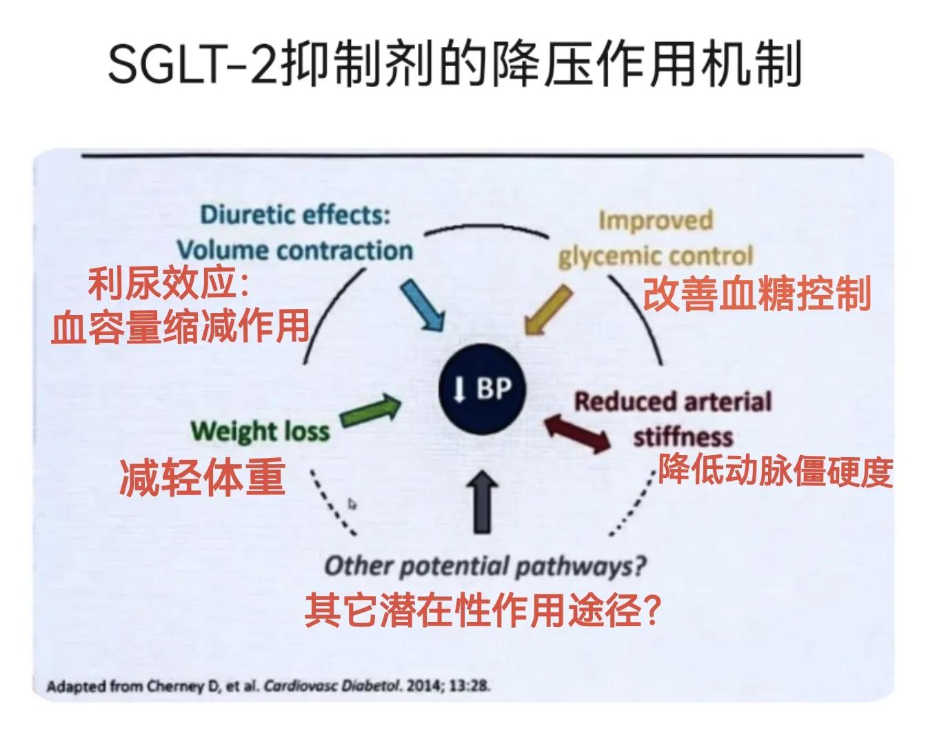 高血压患者若使用利尿降压药首选,关于降压药你需要掌握的10条知识