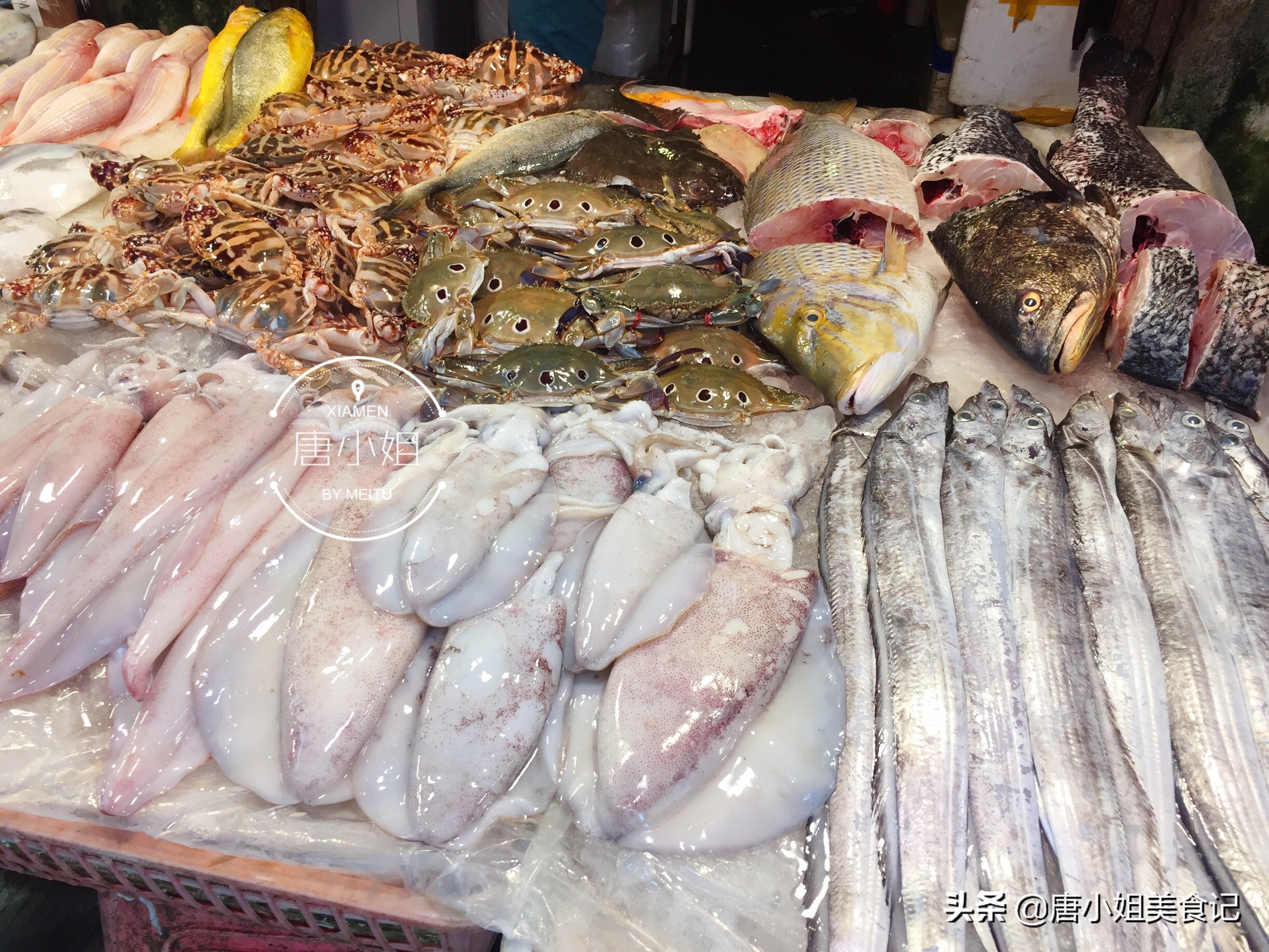 休渔期后有什么鱼,休渔期的鱼多少钱一斤