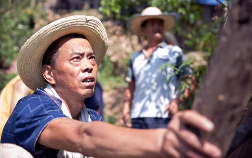 夏至三庚入伏今年有几伏,夏至三更数头伏是多久