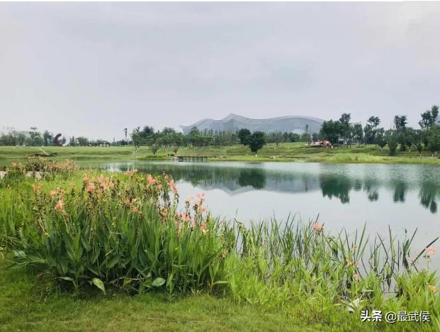 世警会入场式,世警会场地介绍