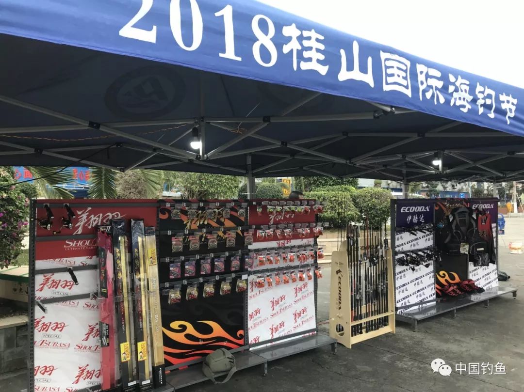 海钓节2019,桂山岛海钓节