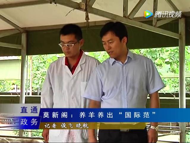 农村在家创业小型养殖可以吗,农村小投资养个10头羊能挣钱不