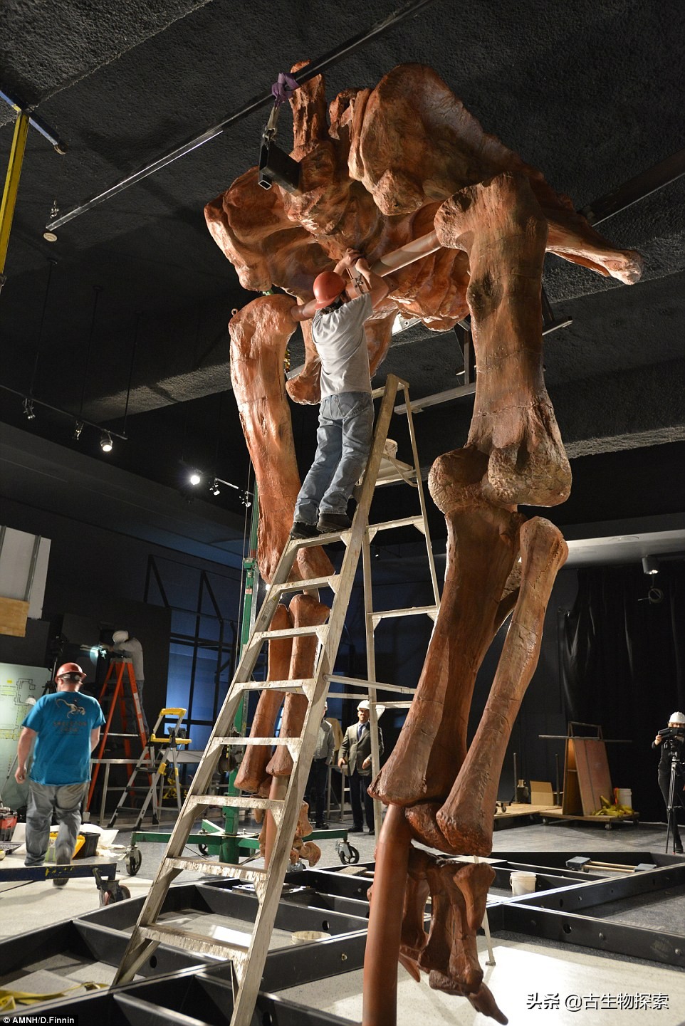 巴塔哥泰坦龙完整化石,巴塔哥泰坦龙进化史