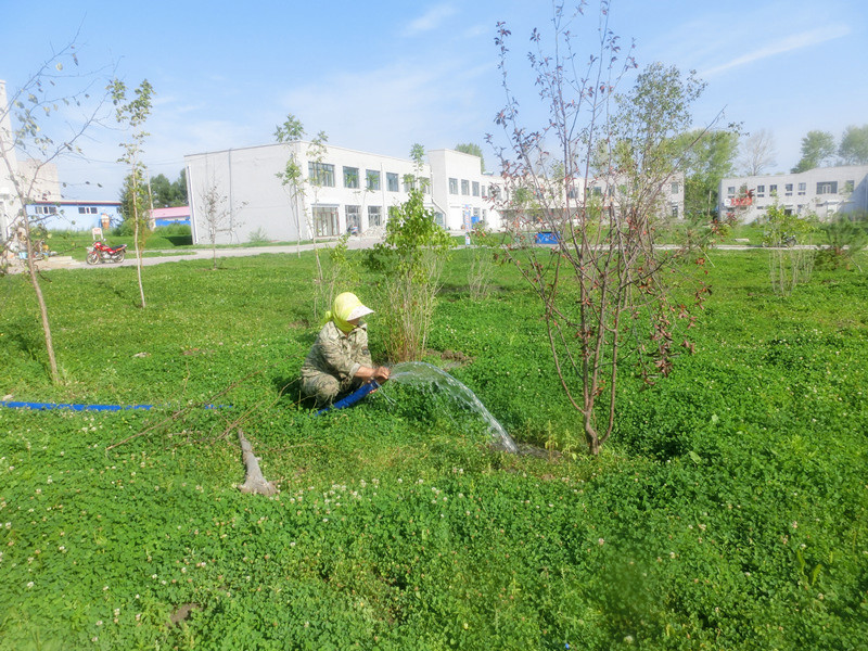 苗木被淹后怎么补救视频,苗木水淹怎么补救