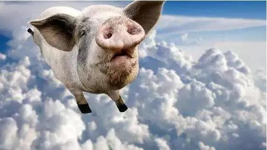 马云说自己比丁磊更懂养猪,2018年丁磊养猪