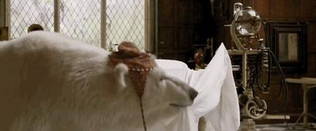 影院复业后你最想看哪部电影,带儿童去影院观看的电影推荐