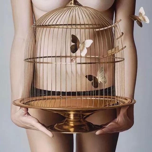 她画的人物栩栩如生用英文怎么说,她画的人物栩栩如生