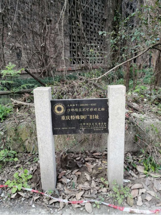 扫街日记100篇,扫街日记视频