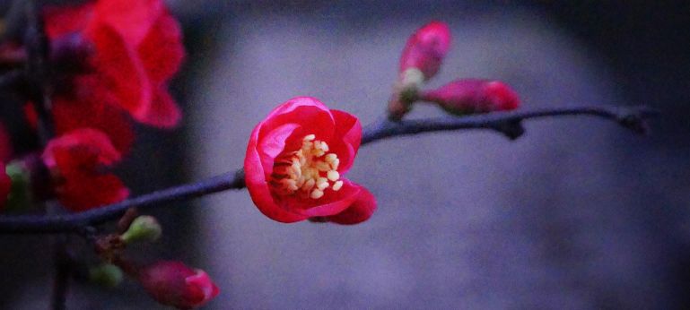 寄情于山水之间的唯美古诗词,寄情山水悠闲自得的诗词