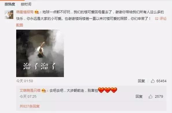 从学猫叫到猫爪杯，千亿级萌宠市场，下一个风口离你有多近？