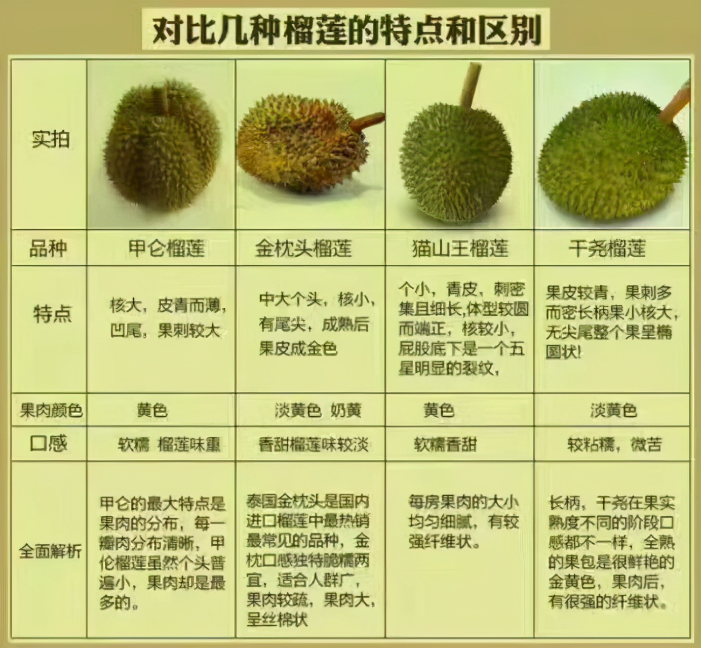 巴掌榴莲和甲仑榴莲哪个好,甲仑榴莲与金枕头榴莲口味