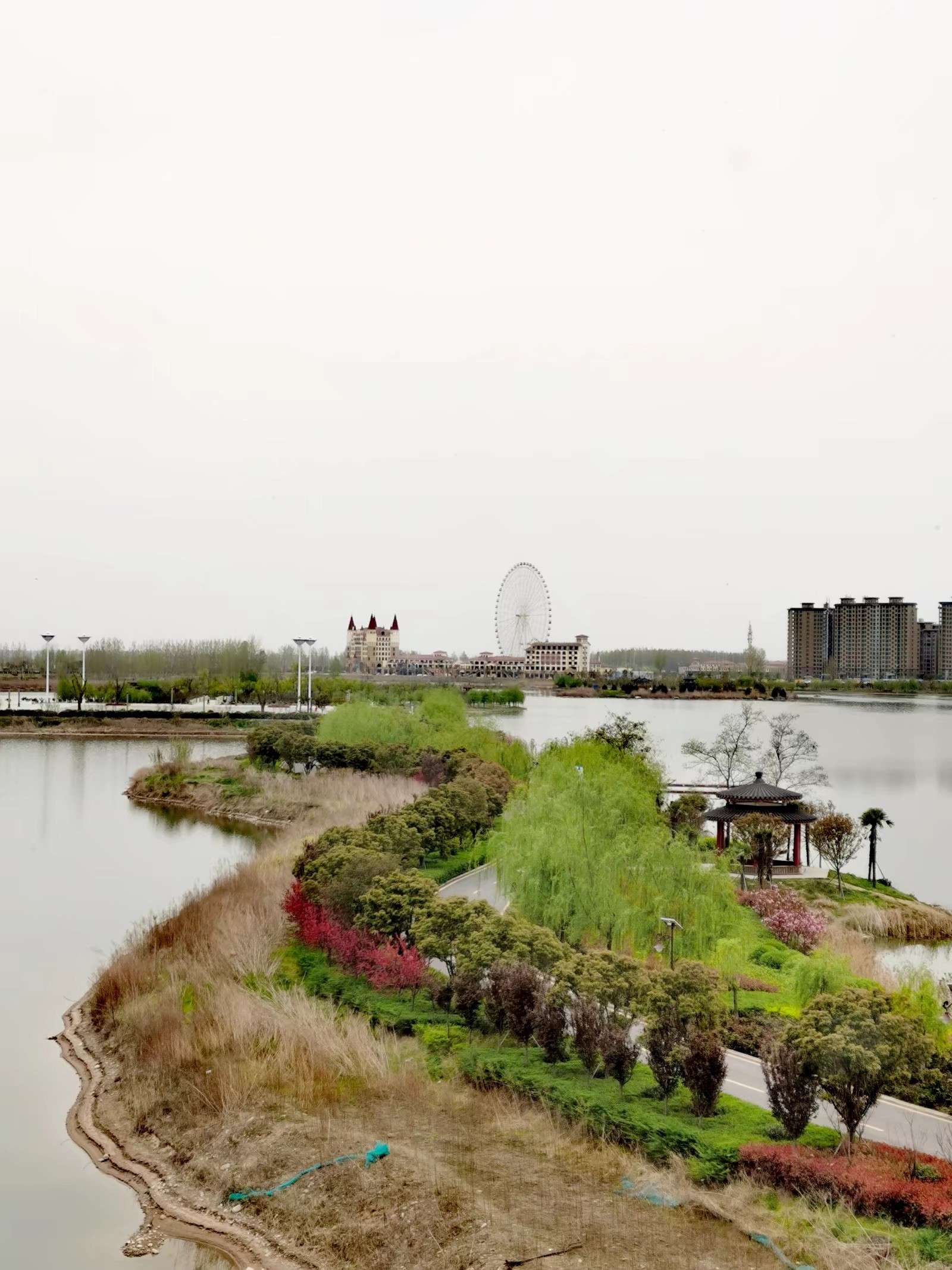 濞佹捣鑾辫尩灏忛晣,澶╂触鑾辫尩灏忛晣