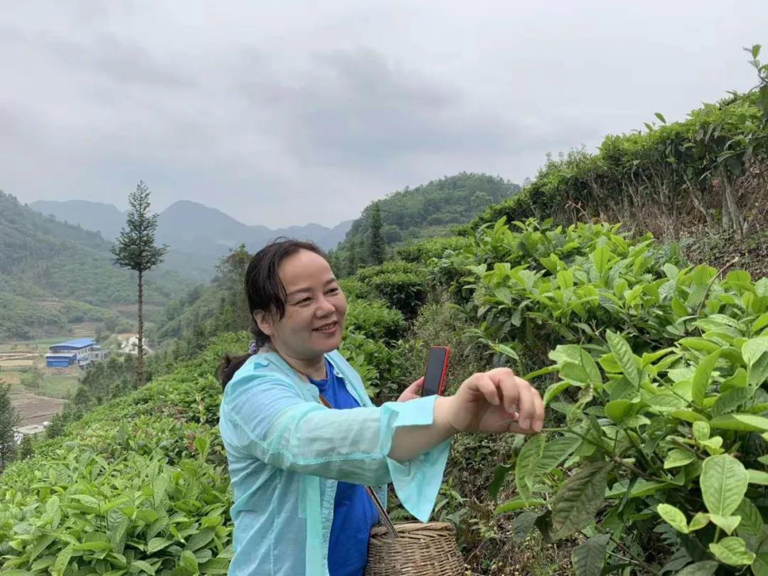 这帮人五一用爱心启航，一起为广西凌云大山的孩子点燃艺术之梦！