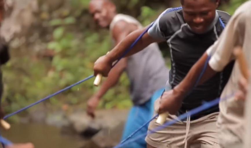 实拍非洲紫檀木*私走**全过程：护林员做*私走**，一根紫檀木赚三万