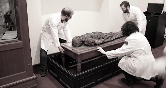 爱因斯坦的大脑在哪个博物馆,爱因斯坦的大脑为科学奉献一生