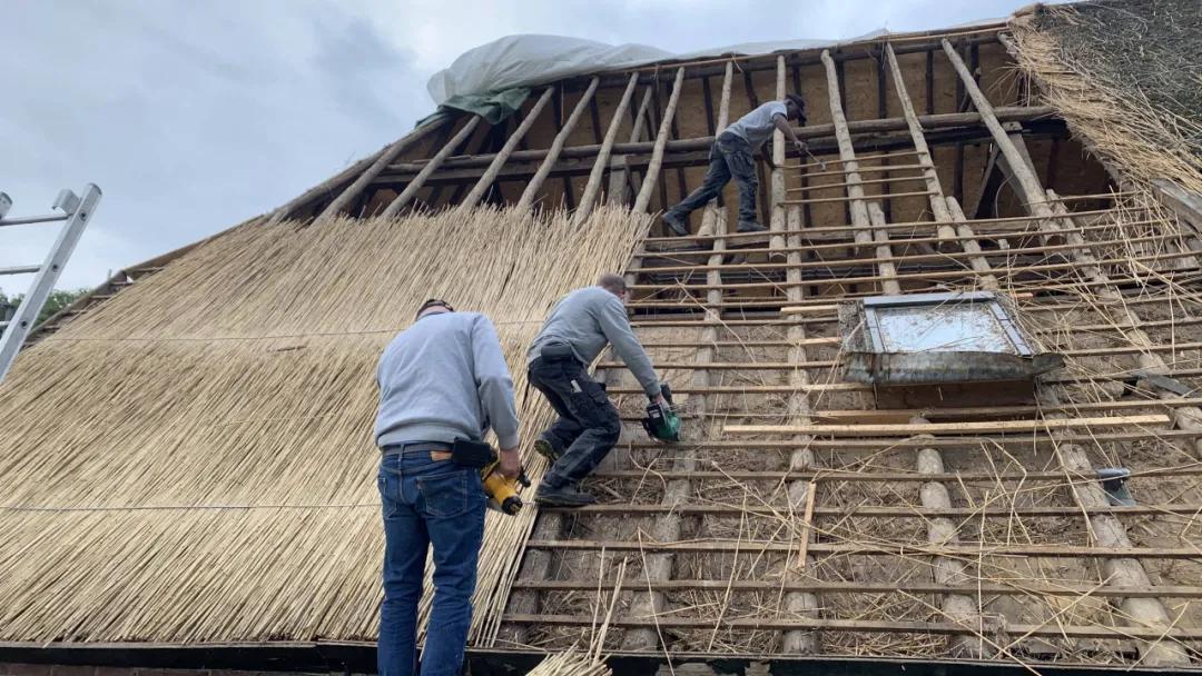 荷兰对中国设备依赖,荷兰经济依赖我国吗