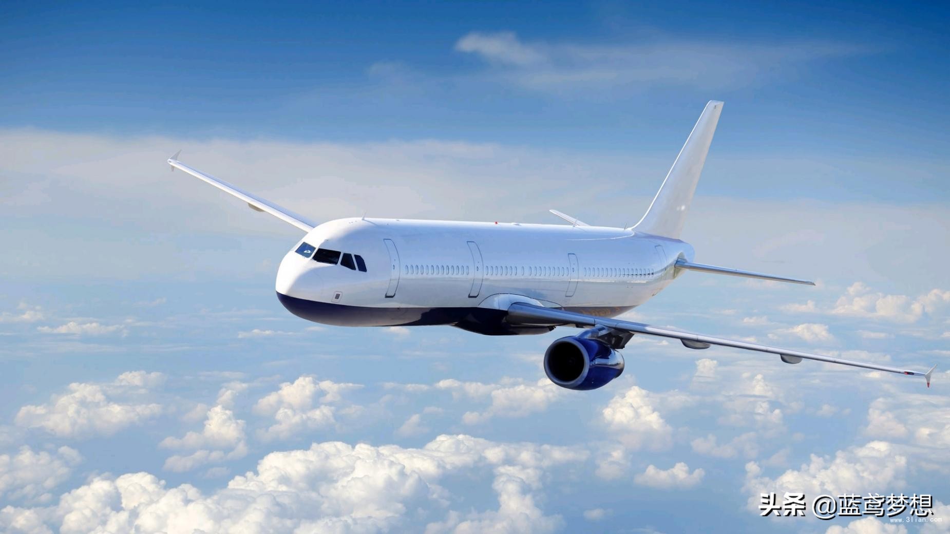 打哪个电话可以全额退飞机票,在网上订打折飞机票全额退