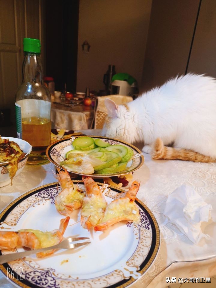 烤箱入门新手开箱,新手家用烤箱测评千元内