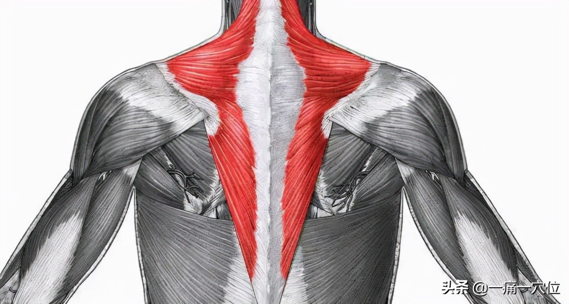 颈肩困痛怎么办,颈肩综合征自我锻炼方法