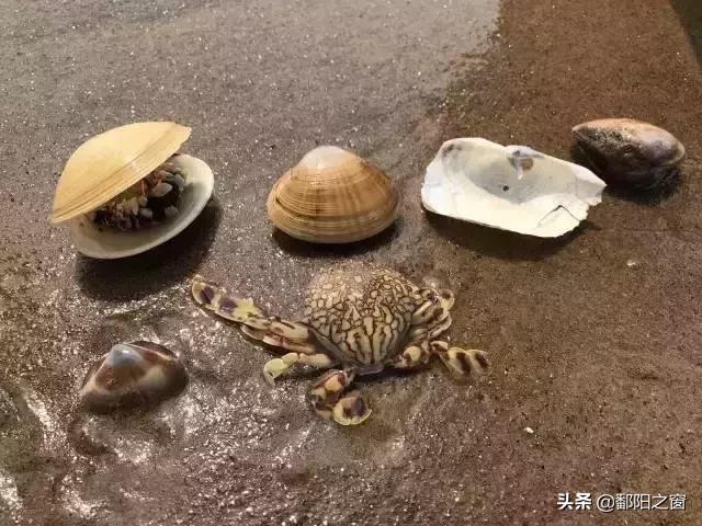 大海温泉,大海温泉度假村