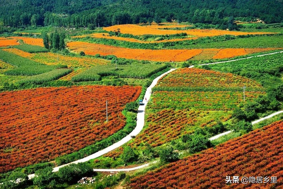 亲子京郊游红叶,国庆去北京看红叶攻略