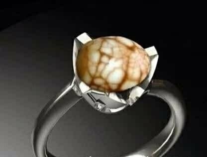 青蛙耳夹网友：这难道就是传说中的癞蛤蟆想吃天鹅肉？