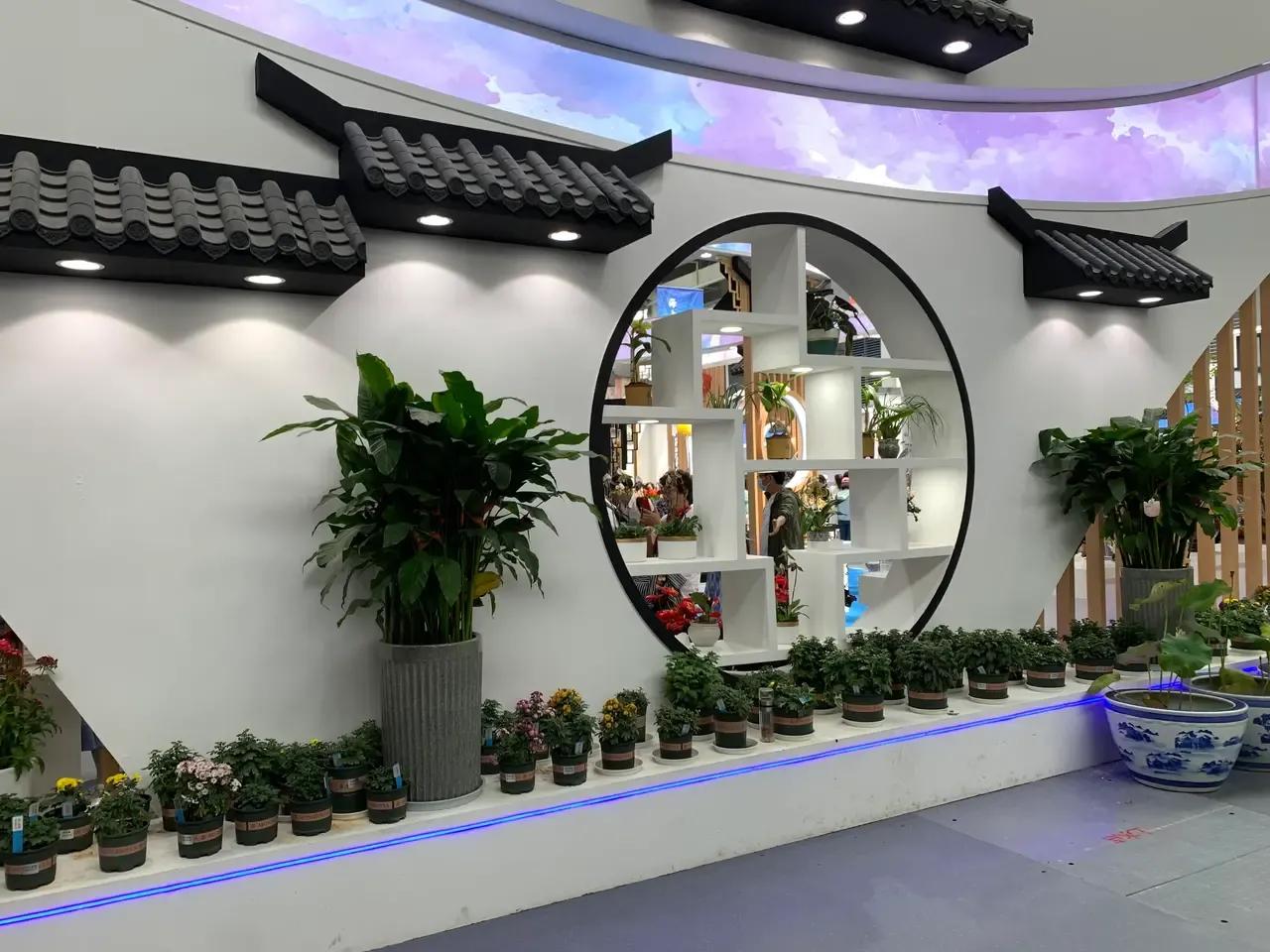 漳州东南花都花博会巡游,花博会花神巡游打卡