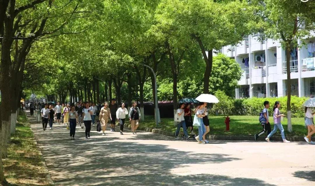 苏州大学文正学院专转本2020,苏州大学文正学院专转本人力资源