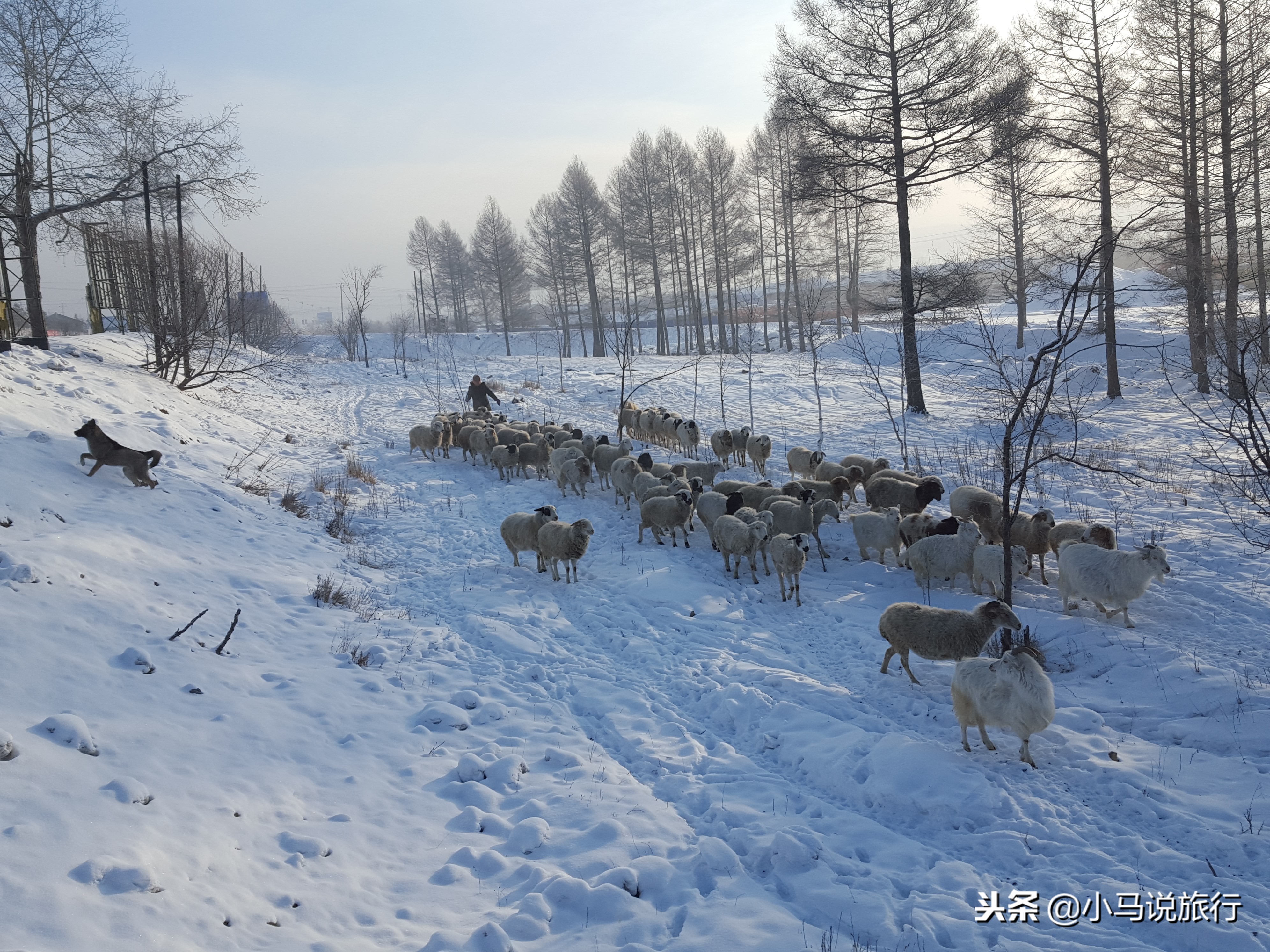 东北零下40度买雪糕,东北零下30度买雪糕