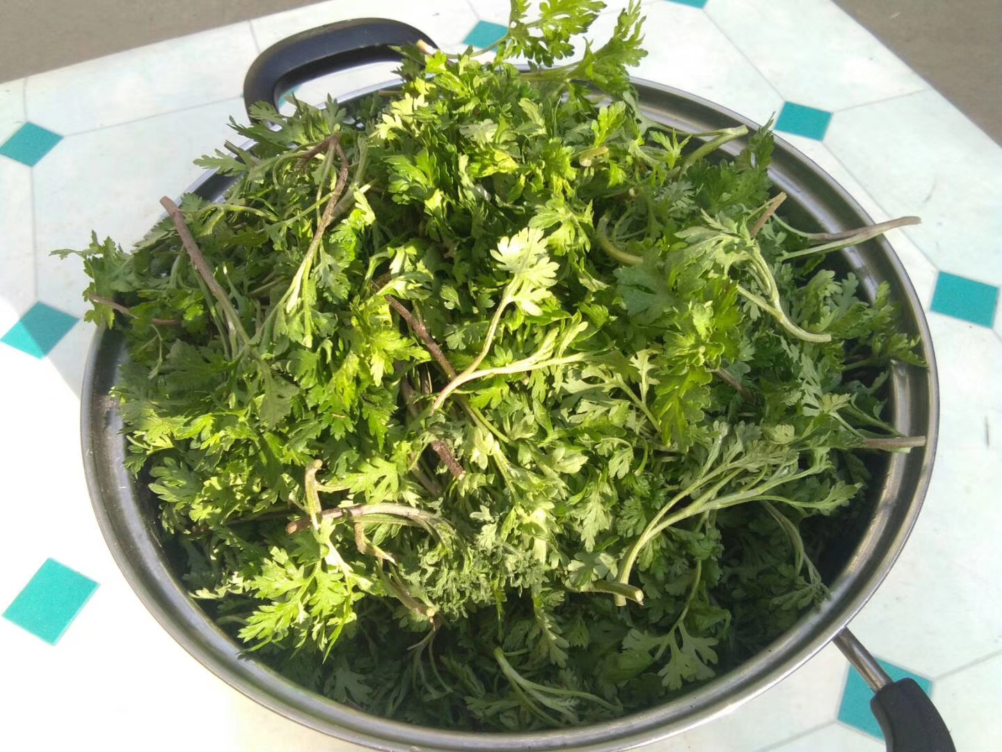 农村这种野菜竟是散结的救命菜,降血压的蔬菜和水果和野菜有哪些